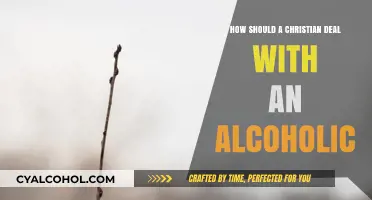 Helping Alcoholics: A Christian's Guide to Support