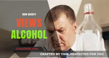 Society's Complex Relationship with Alcohol: Norms, Stigma, and Perception