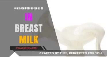 Alcohol and Breast Milk: A Quick Guide for Nursing Mothers