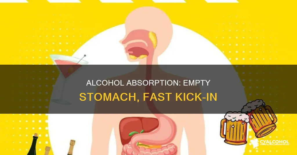 how soon does alcohol kick in on empty stomach