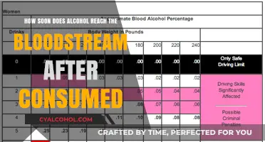 Alcohol's Quick Trip to Your Bloodstream