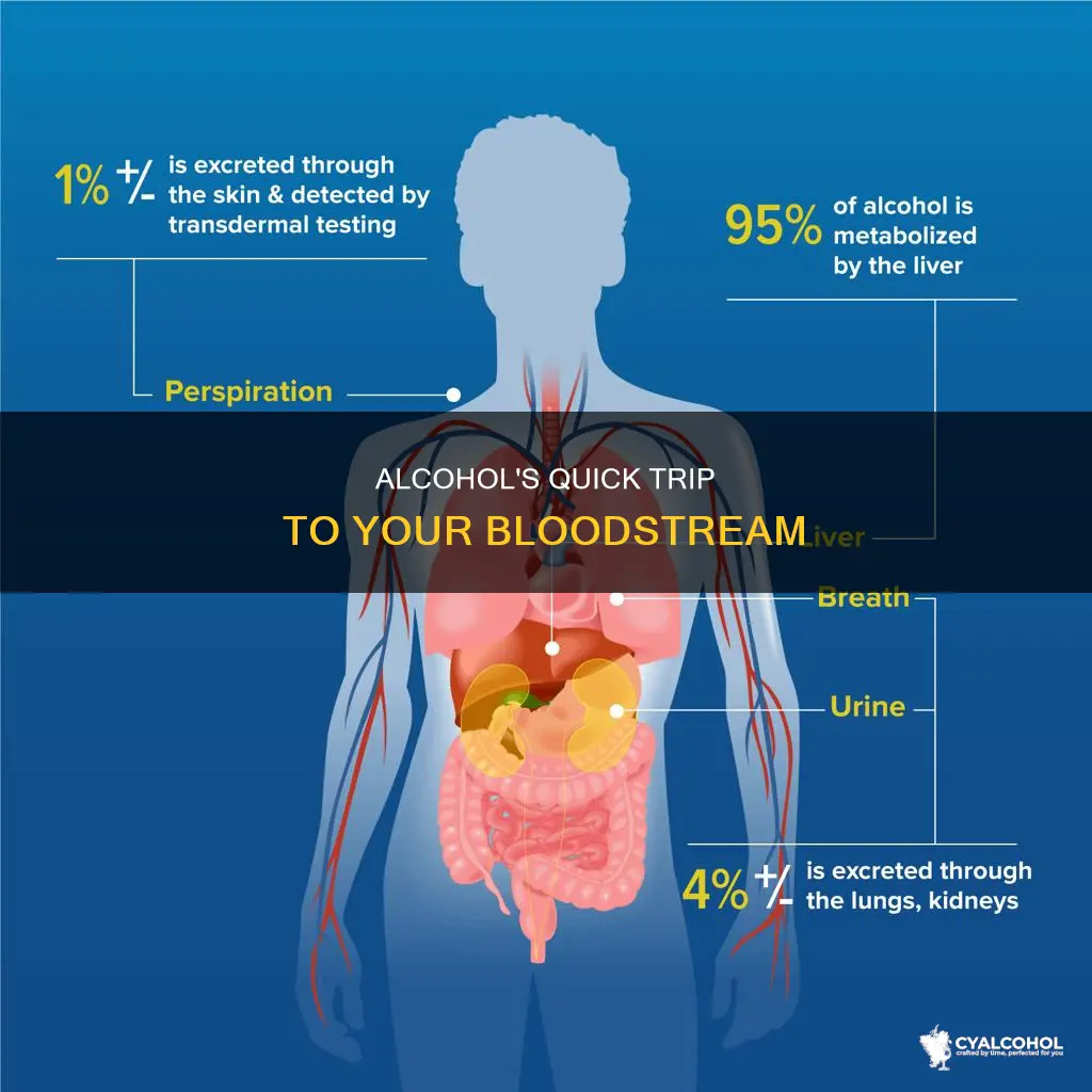 how soon does alcohol reach the bloodstream after consumed