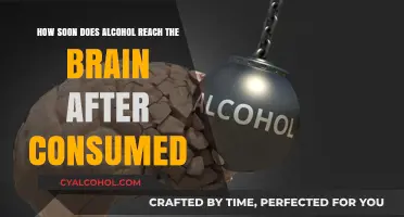 Alcohol's Quick Trip to Your Brain