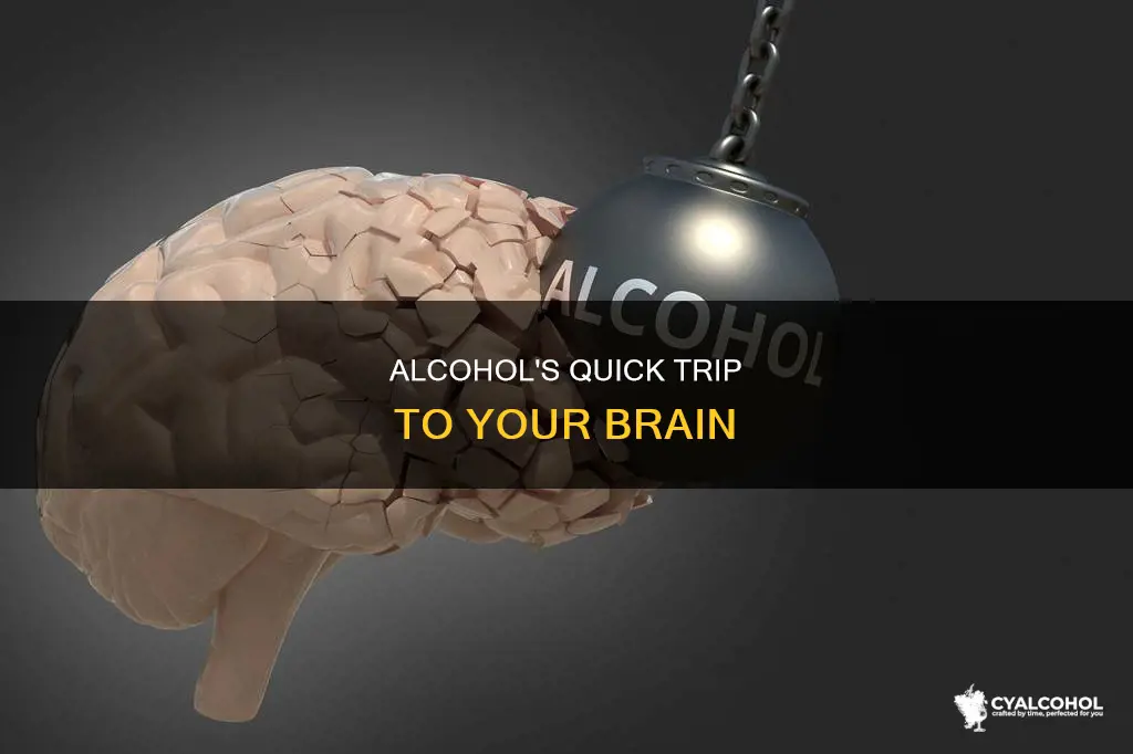 how soon does alcohol reach the brain after consumed