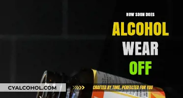 How Soon Does Alcohol Wear Off: Understanding Metabolism and Recovery