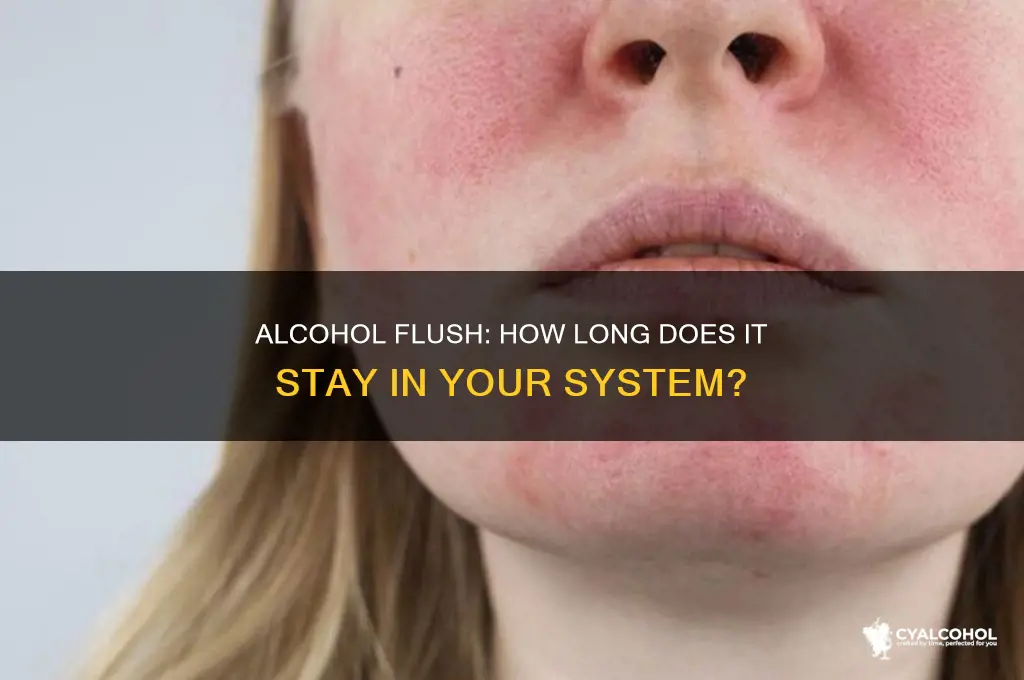 how soon is alcohol out of your system