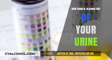 Alcohol in Urine: How Long Does it Last?