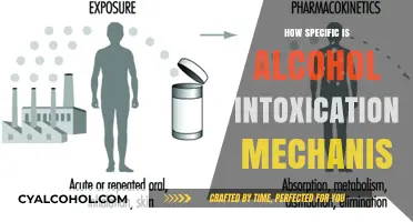 Unraveling the Complex Mechanism of Alcohol Intoxication in the Body