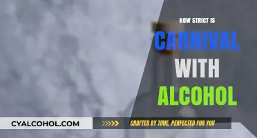 Carnival's Alcohol Policy: Rules, Enforcement, and Passenger Experience Explained
