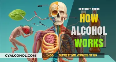 Unveiling the Science: How Alcohol Works in Your Body and Mind