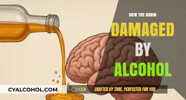 Alcohol's Devastating Impact: Understanding Brain Damage and Long-Term Effects