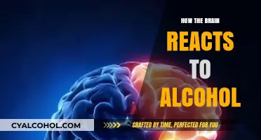 Unveiling Alcohol's Impact: How the Brain Reacts to Intoxication
