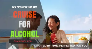 Cruise Alcohol Checks: What to Expect