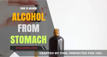 Effective Ways to Absorb Alcohol from Your Stomach Quickly and Safely