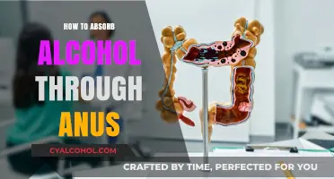 Unconventional Alcohol Absorption: Exploring Rectal Methods and Risks