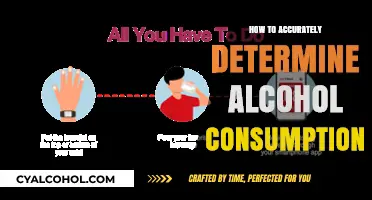 Mastering Alcohol Consumption Tracking: Accurate Methods for Better Health Insights
