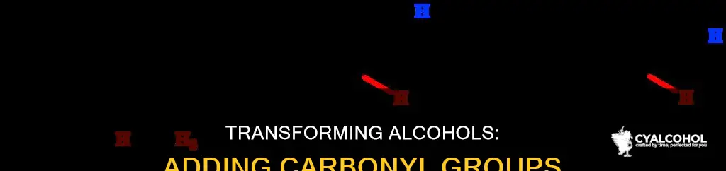 how to add a carbonyl group to an alcohol