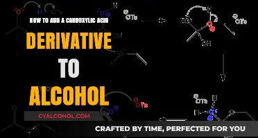 Reacting Carboxylic Acid Derivatives with Alcohols: A Guide