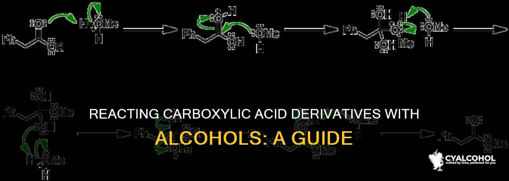 how to add a carboxylic acid derivative to alcohol