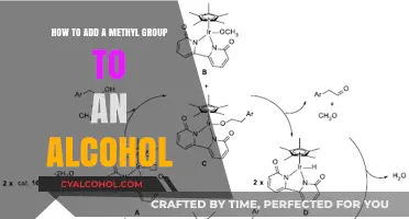 Methylation Magic: Transforming Alcohols with a Methyl Group