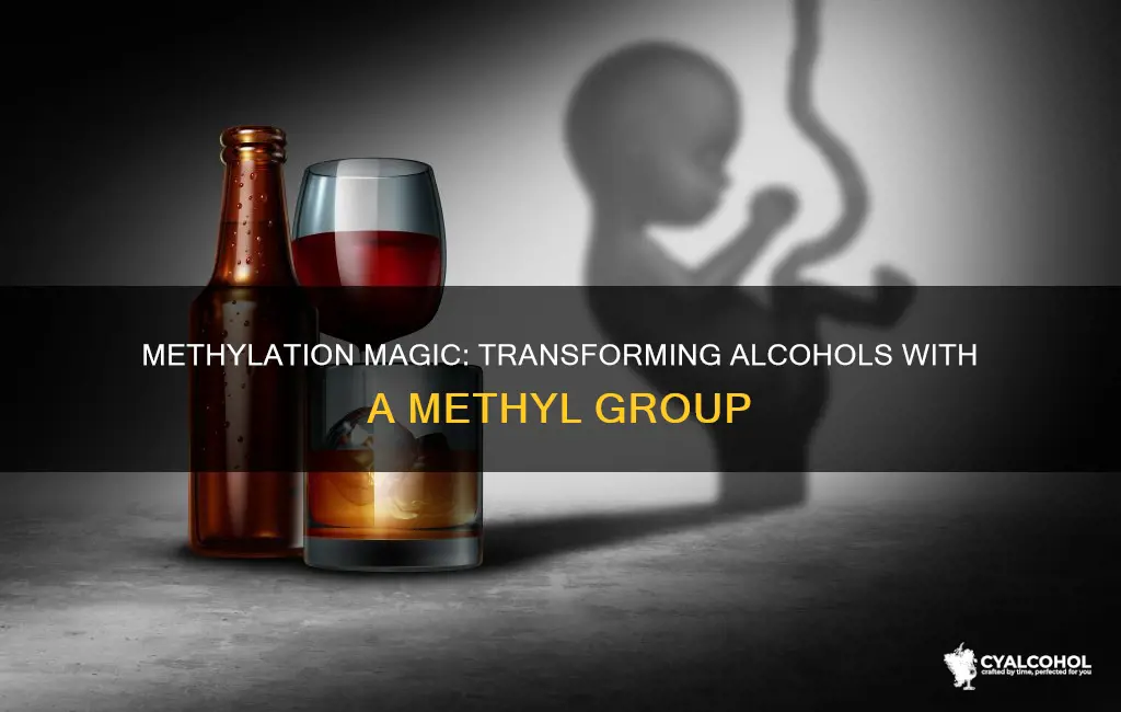 how to add a methyl group to an alcohol