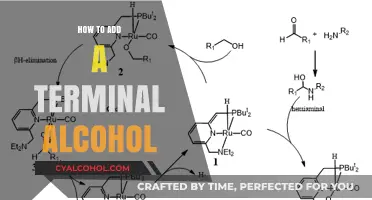 Mastering Organic Synthesis: Adding Terminal Alcohols Step-by-Step Guide
