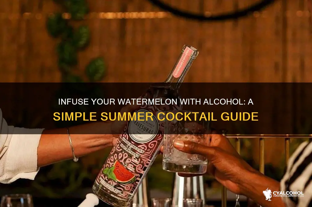 how to add alcohol to watermelon