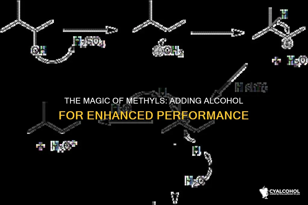 how to add an alcohol to a methyl