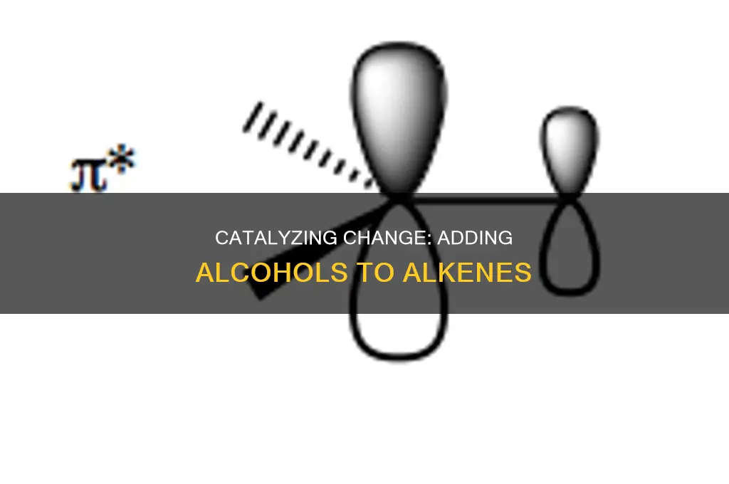 how to add an alcohol to an alkene