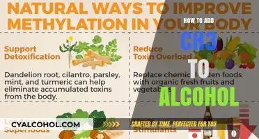 Adding a Methyl Group to Alcohols: A Step-by-Step CH3 Guide