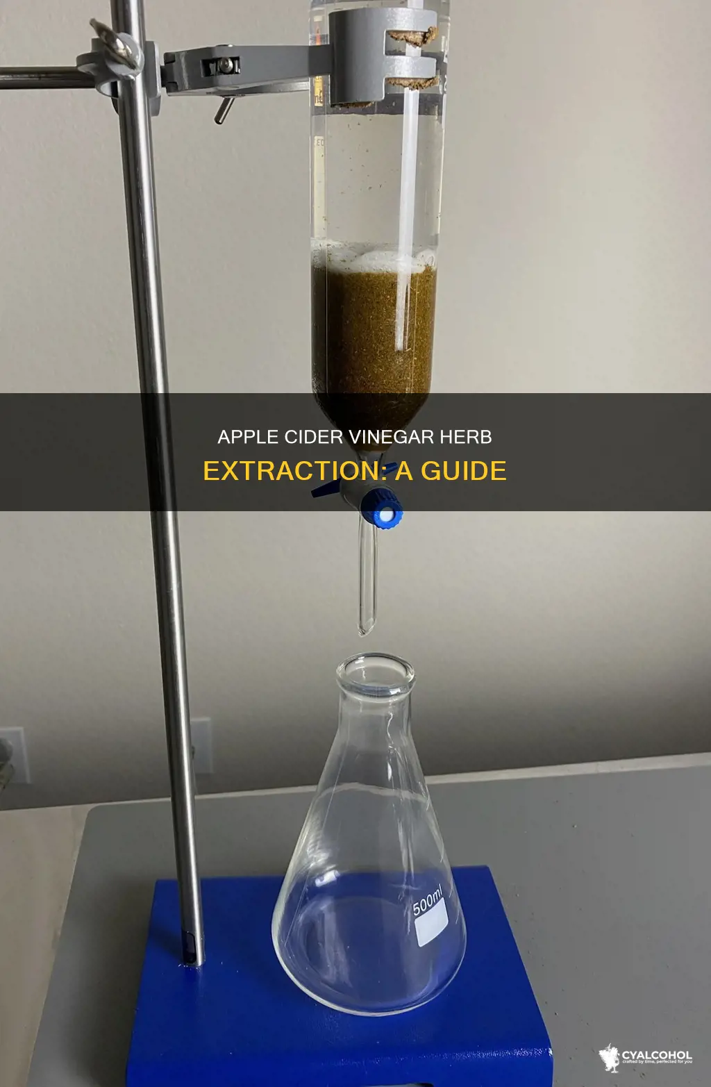 how to alcohol extract herbs with apple cider vinegar
