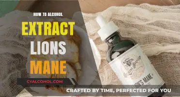 Mastering Lion's Mane Alcohol Extraction: A Step-by-Step Guide
