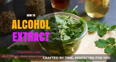 Mastering Alcohol Extraction: Techniques, Tips, and Best Practices