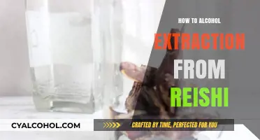 Mastering Reishi Alcohol Extraction: A Step-by-Step Guide for Beginners