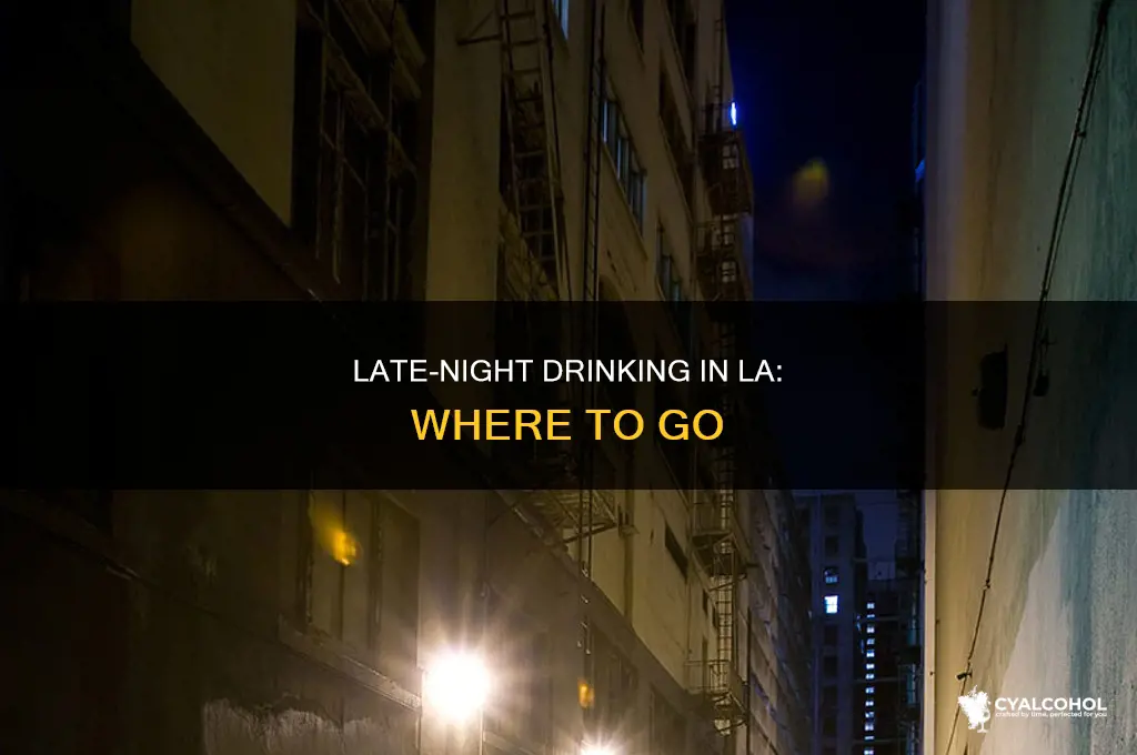 how to alcohol in los angeles after hours