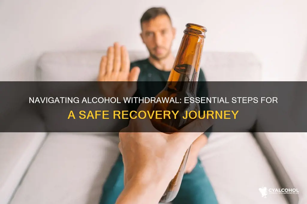 how to alcohol withdrawal