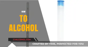 Mastering the Art of Alcohol: A Beginner's Guide to Brewing and Enjoying