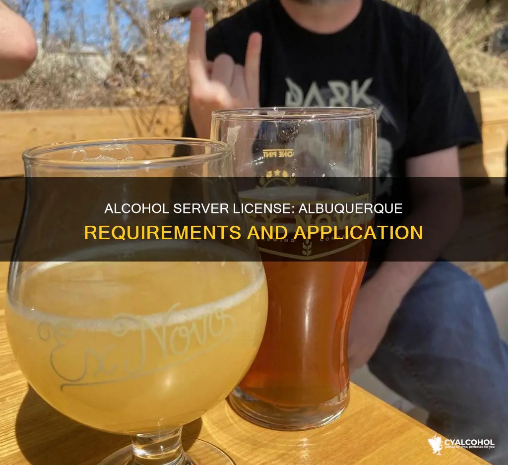 how to apply for a alcohol servers license for albuquerque