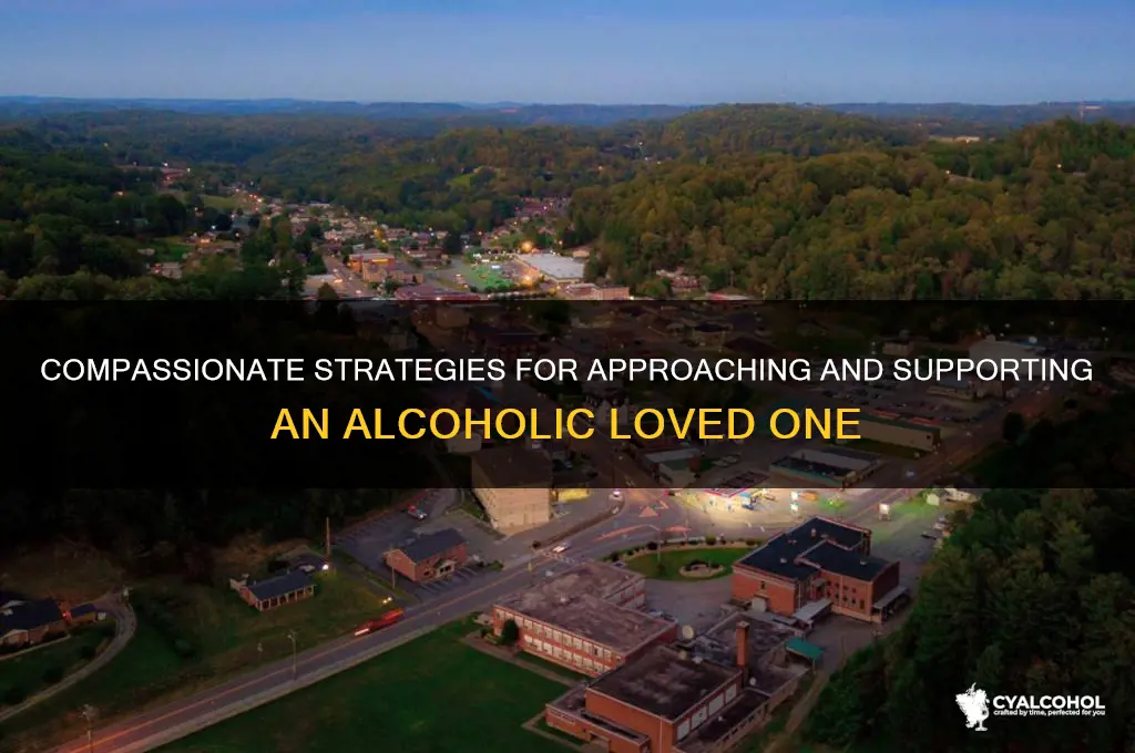 how to approach an addict alcohol