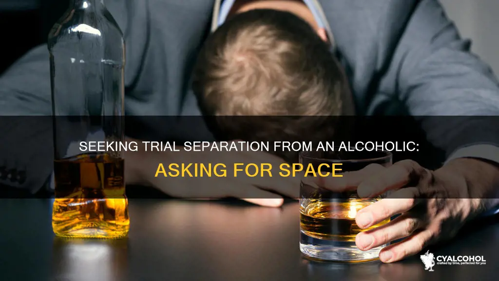 how to ask for a trial separation from an alcoholic