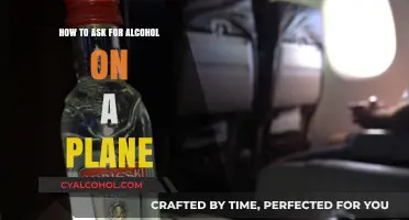 Asking for Alcohol: In-flight Drinking Etiquette