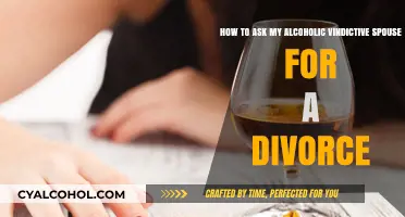 Navigating Divorce with an Alcoholic, Vindictive Spouse