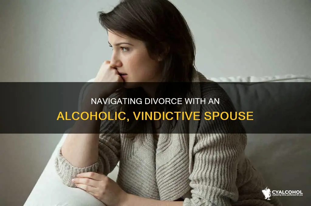 how to ask my alcoholic vindictive spouse for a divorce
