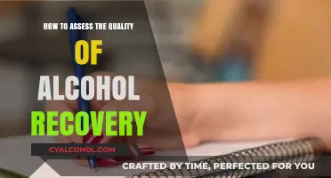 Evaluating Alcohol Recovery: Assessing Quality and Longevity