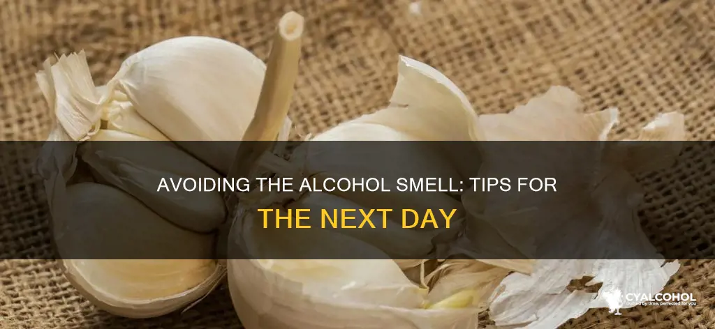 how to avoid smelling of alcohol the next day