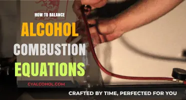 Mastering Alcohol Combustion Equations: A Step-by-Step Balancing Guide