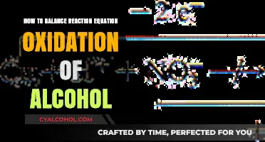Balancing Oxidation: Alcohol Equation