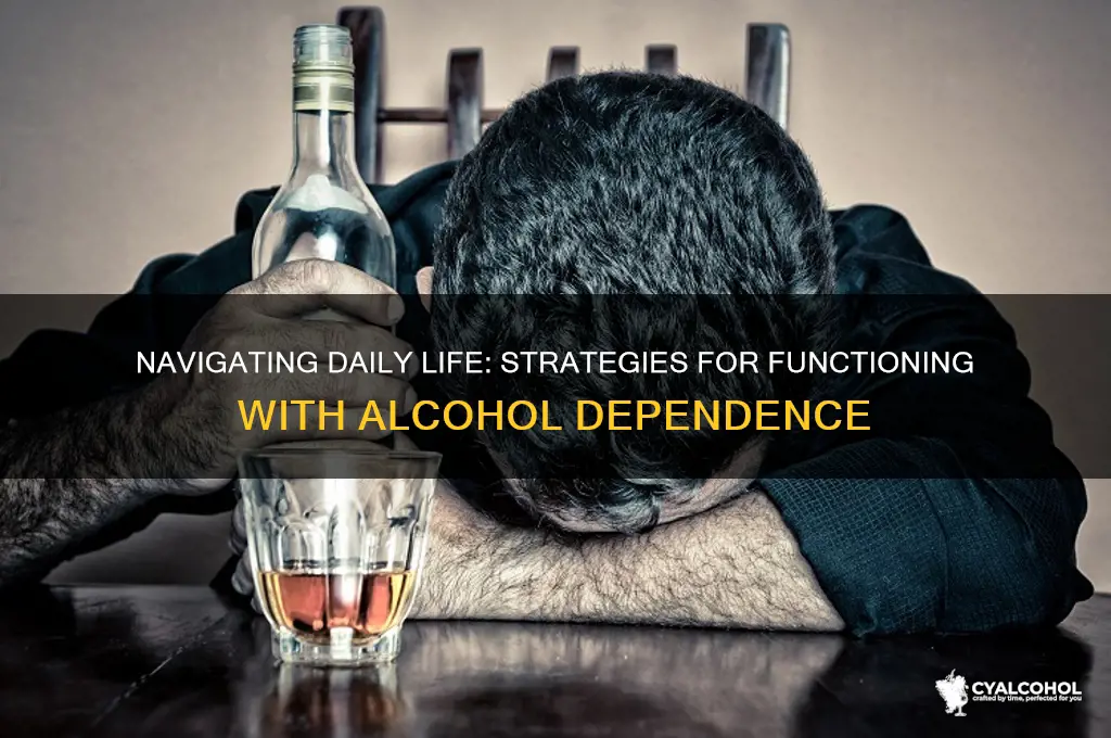 how to be a functional alcoholic