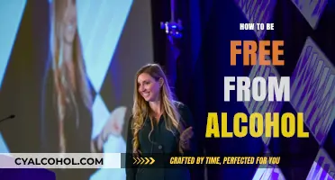 Break Free from Alcohol: A Guide to Lasting Sobriety and Freedom