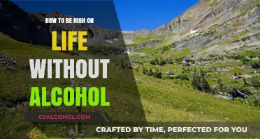 Unlocking Life's Natural Highs: Alcohol-Free Joy